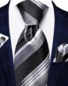 Striped Series Tie Set