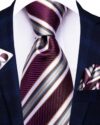 Striped Series Tie Set
