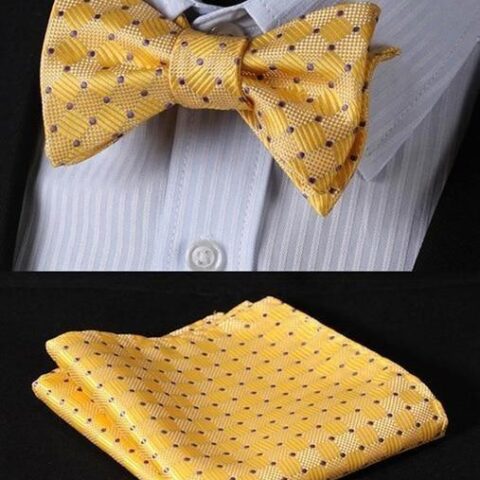 Checkered Yellow & Light Yellow with Blue Pin Dots Matching Bowtie Set (2pc)