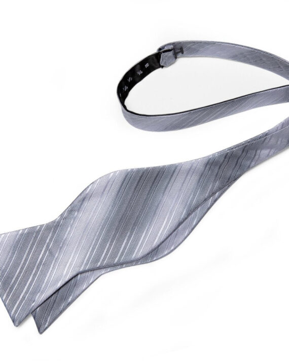 Silver Stripes Matching Bowtie Set (4pc)
