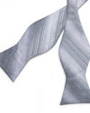 Silver Stripes Matching Bowtie Set (4pc)