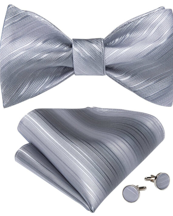 Silver Stripes Matching Bowtie Set (4pc)