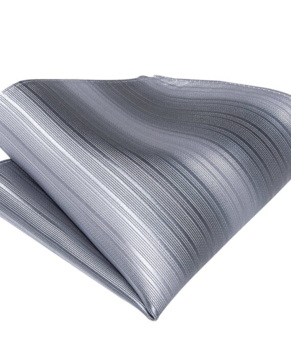 Silver Stripes Matching Bowtie Set (4pc)